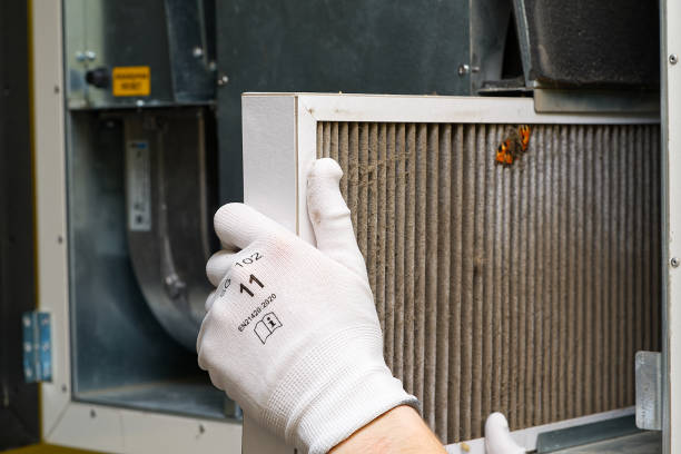 Best HVAC System Cleaning  in Rochester, NY