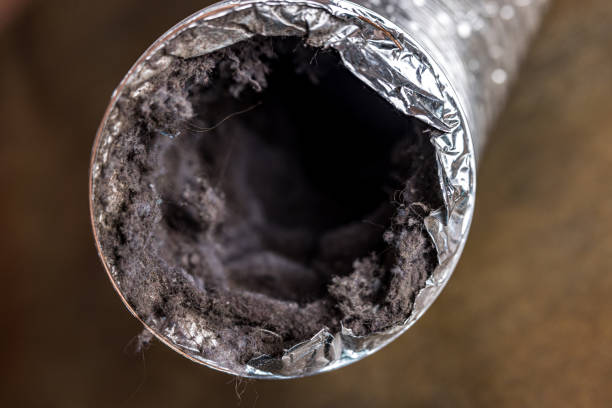 Best Affordable Duct Cleaning Services  in Rochester, NY